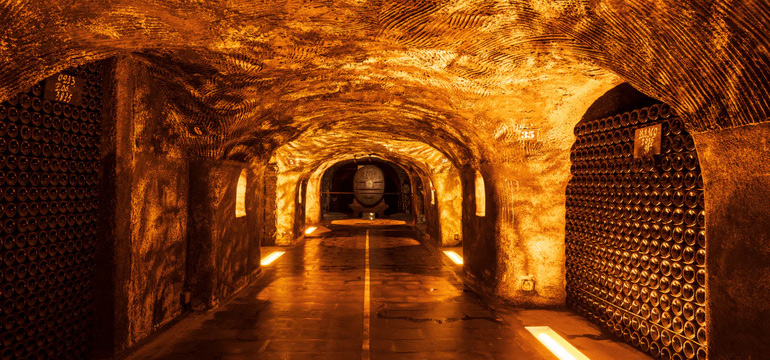 Moet Cellar